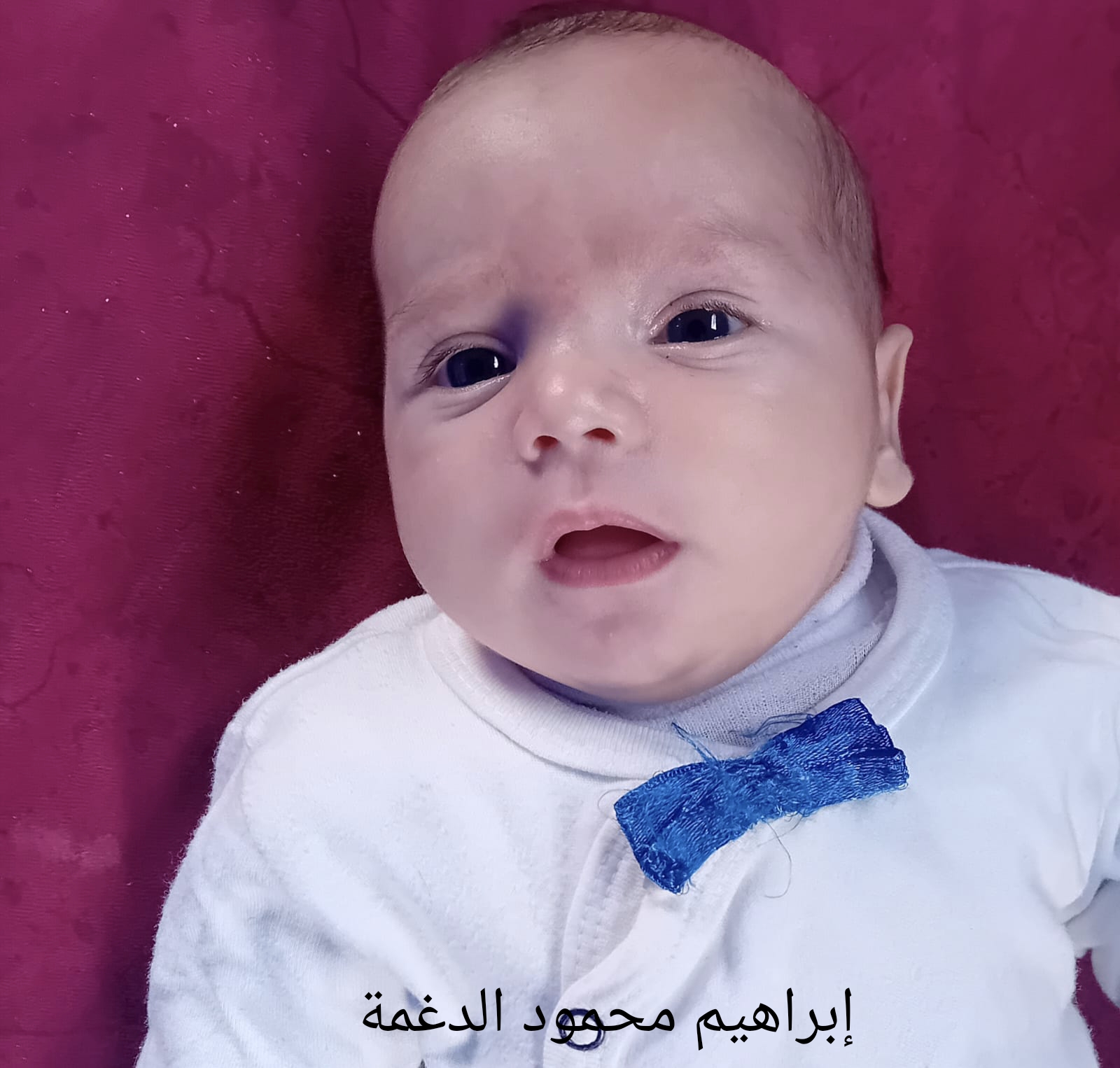إبراهيم's Photo