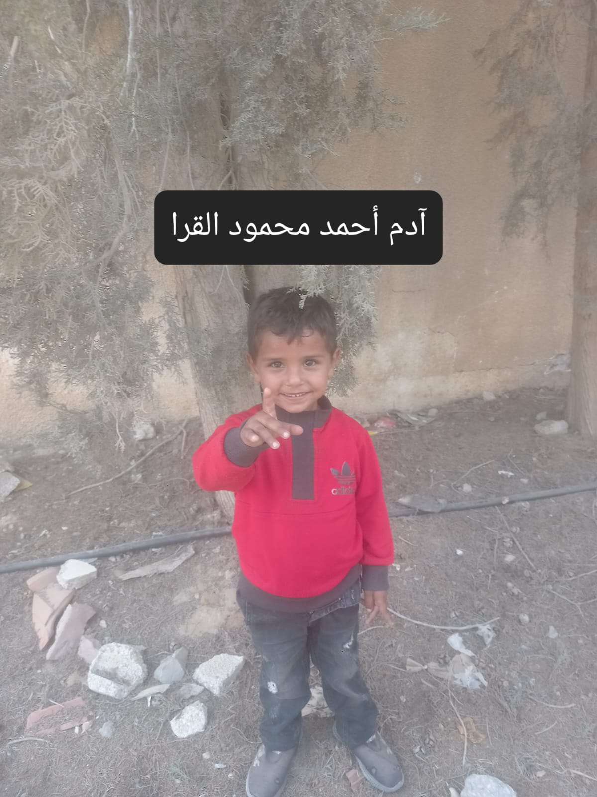 ادم 's Photo