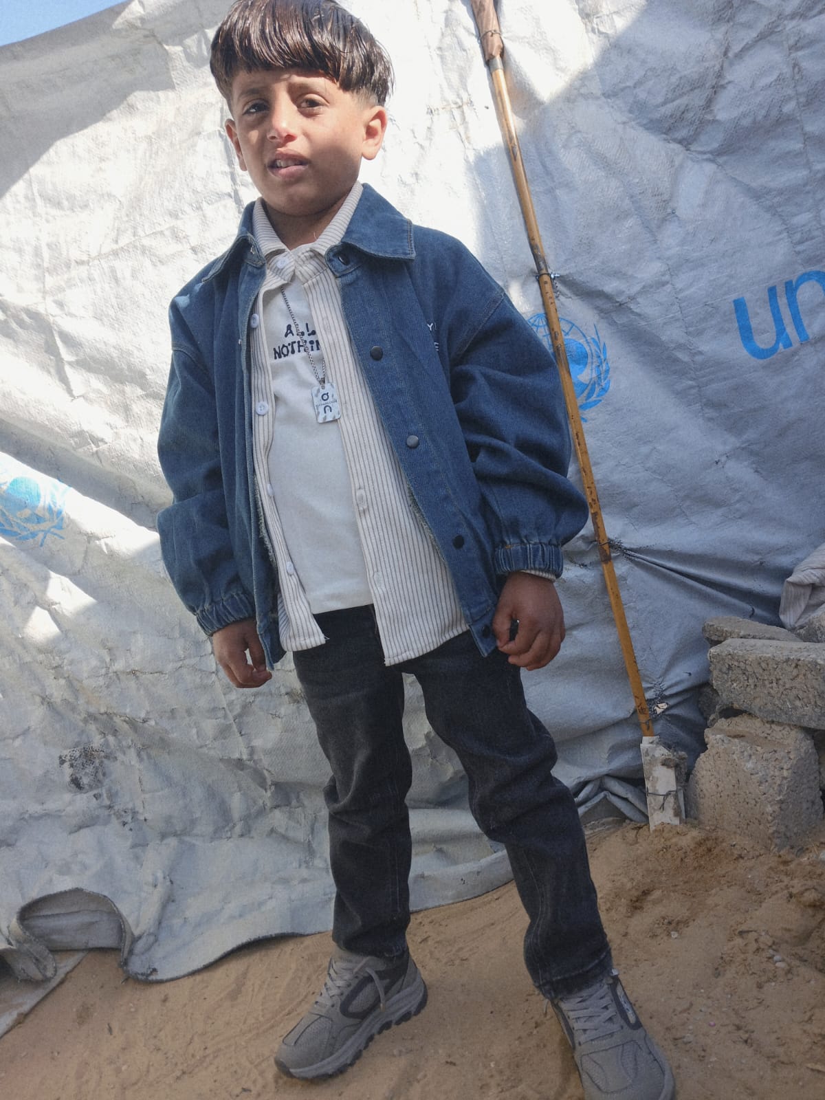 Sajed