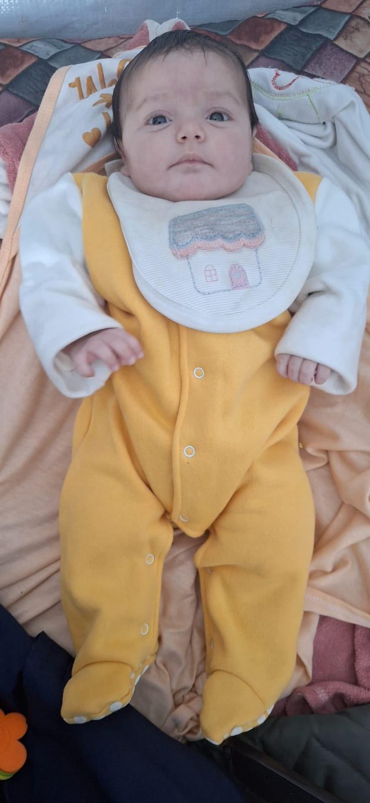 براء 